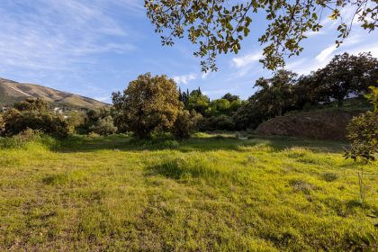 24f4db6d5bee76db5af0401eb4f995a4 - 64