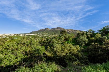 24f4db6d5bee76db5af0401eb4f995a4 - 65