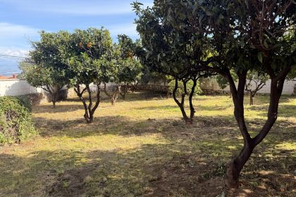 25009da0979633f417ed16322cf8ccc9 - 8