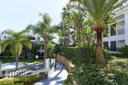 2621a976fc8f40b58a9f8cf17e79c8b2 - 24