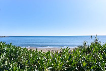 2621a976fc8f40b58a9f8cf17e79c8b2 - 26