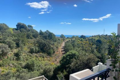 26cbc9df1e5a83990b05679013eaa795 - 1