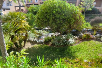 291a1565227f4c0de659ddd82077f454 - 35