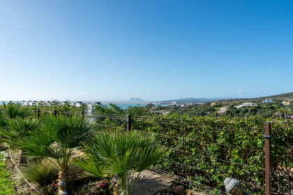 29db65deb4fef67a92b2186244456b93 - 25