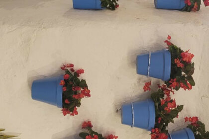 29dffd8a880db2d2279ecf81b8e854cd - 28