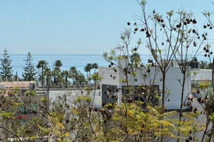 29dffd8a880db2d2279ecf81b8e854cd - 5