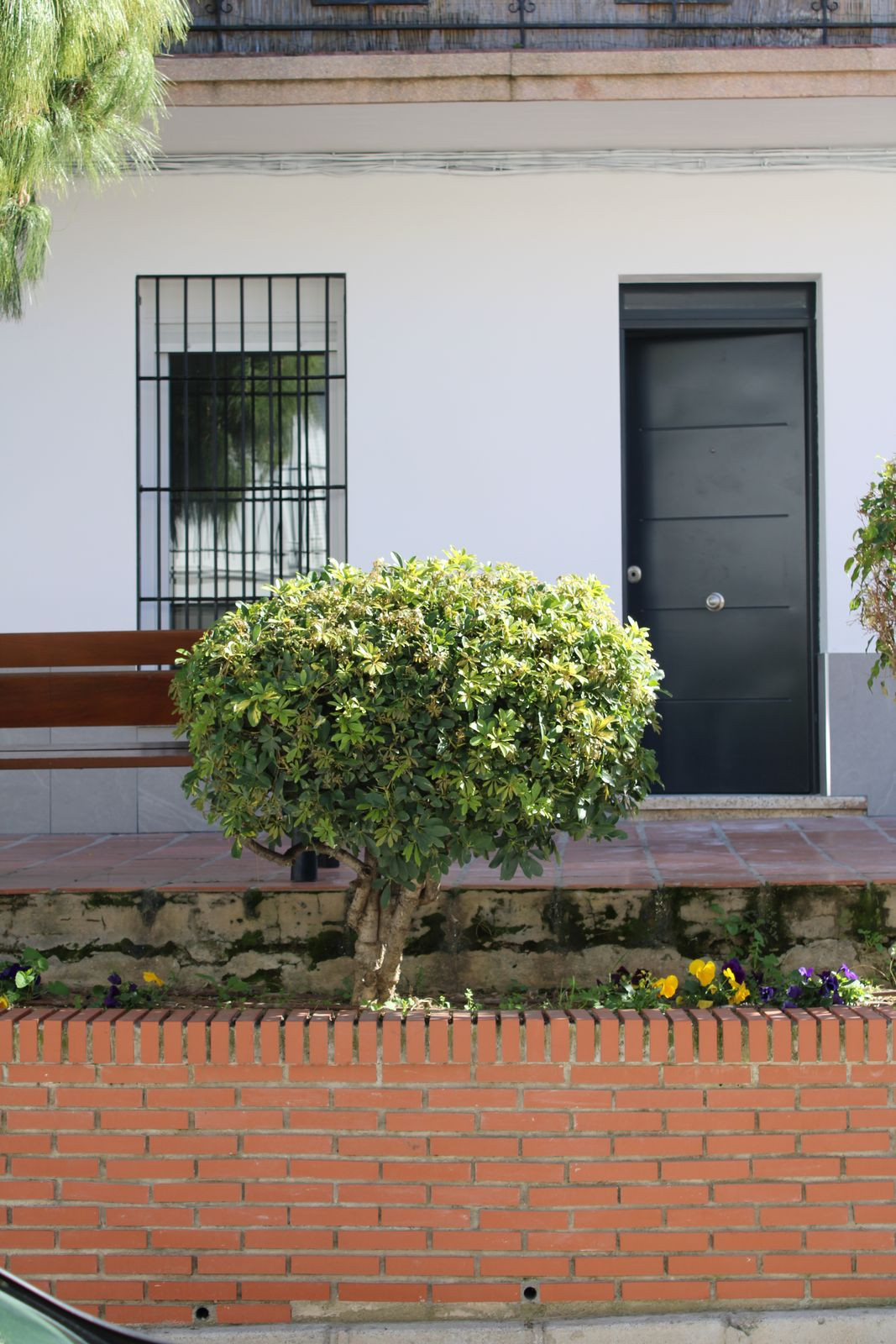 2a57d6a56b59c1e6ffbfb236487e1be5 - 3