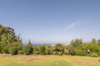 2c6ac7b4f9cf7f7081dc849b7868ebb1 - 6