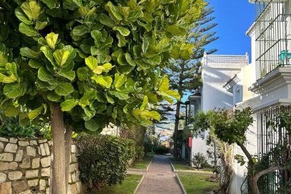 2ce5c36f96663773a58a6311a12f7a99 - 24