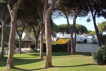 2d6c069fb371dc8445c6c24462d86b89 - 18