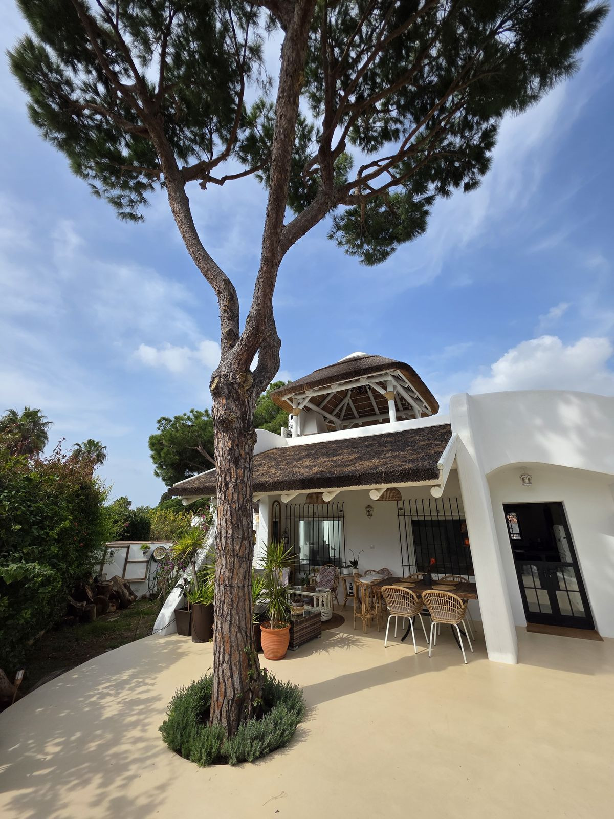 2d6c069fb371dc8445c6c24462d86b89 - 26