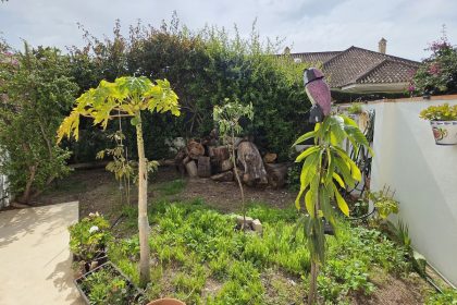 2d6c069fb371dc8445c6c24462d86b89 - 32