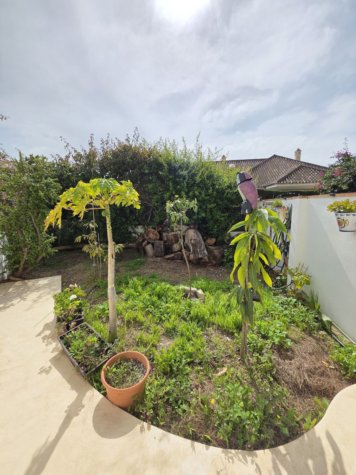 2d6c069fb371dc8445c6c24462d86b89 - 32