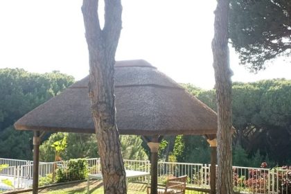 2d6c069fb371dc8445c6c24462d86b89 - 38