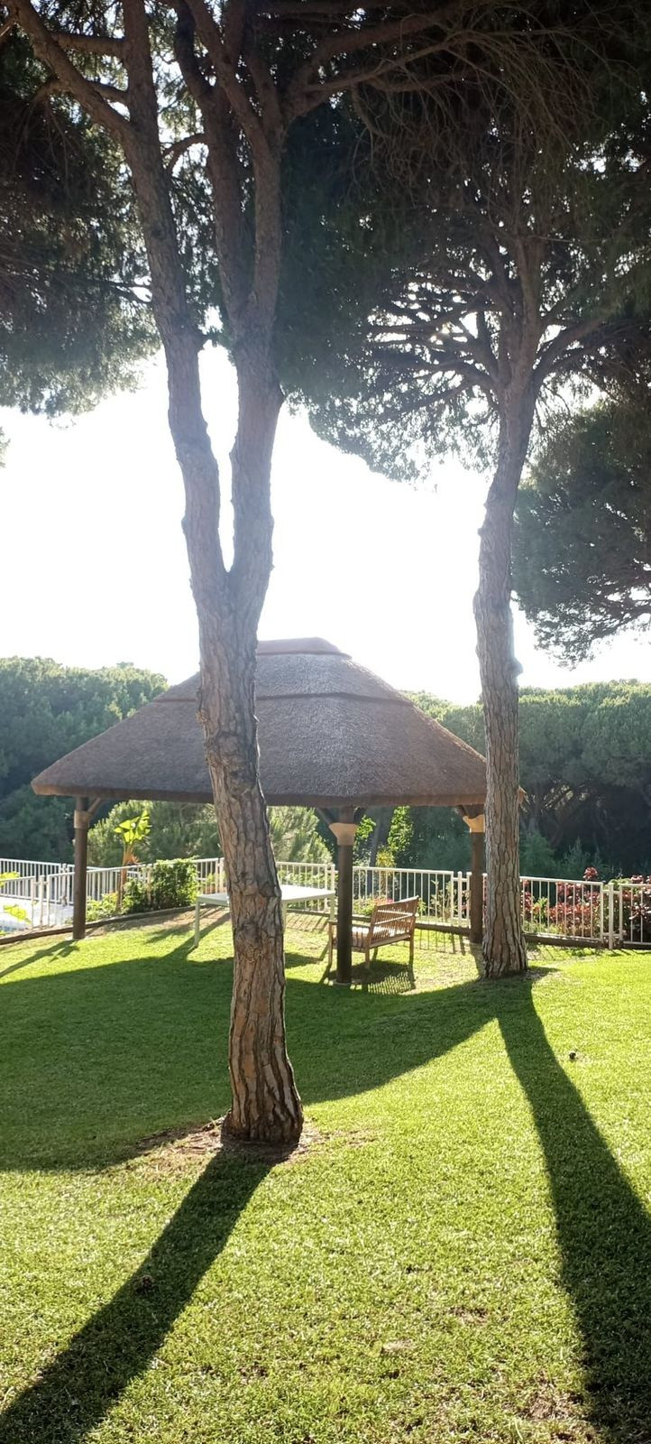 2d6c069fb371dc8445c6c24462d86b89 - 38