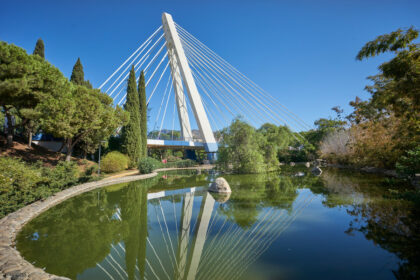 2e1ae8a4747048332dd62f0106c24c82 - 32