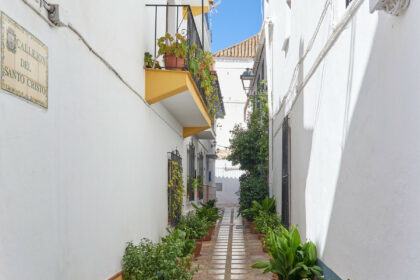 2e1ae8a4747048332dd62f0106c24c82 - 34