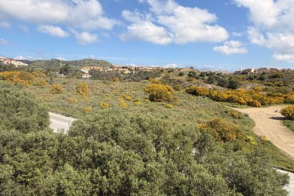 2e6c32df08b4b7c57133f41c879ba351 - 26