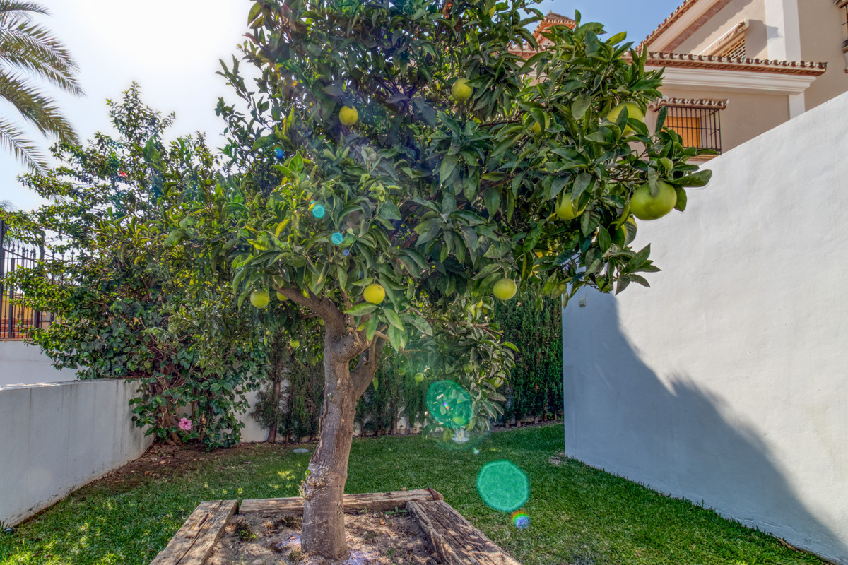 3059b0f76ceea17267c8ed028b0f5e07 - 30