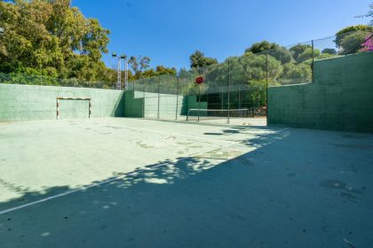 323886ed5f8e51f065a678b61bc7e912 - 13