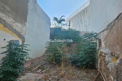 326880e259d7098a55d355adc3dfb009 - 1