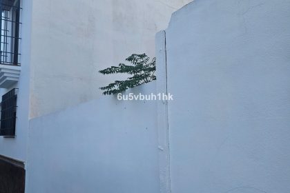 326880e259d7098a55d355adc3dfb009 - 10