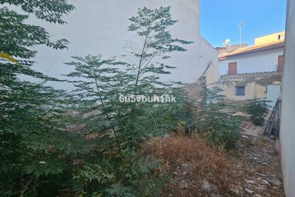 326880e259d7098a55d355adc3dfb009 - 3