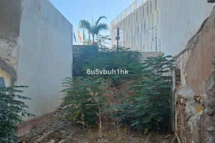 326880e259d7098a55d355adc3dfb009 - 6