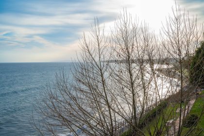 335cfada27f01778982259543d45a615 - 24