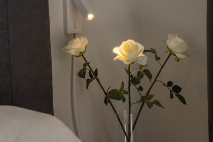 34ec6f6a6d3c2315ca52ee19c2427498 - 23