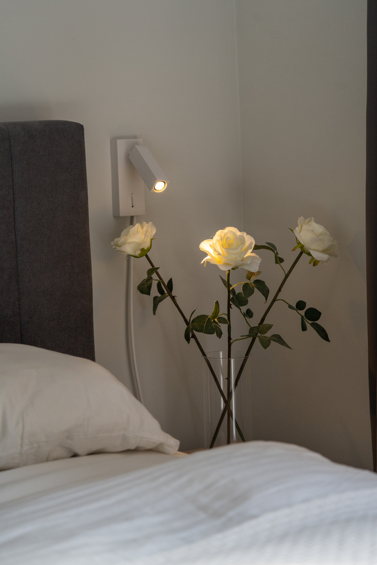 34ec6f6a6d3c2315ca52ee19c2427498 - 23