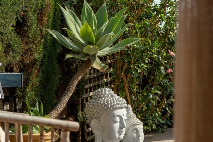 34ec6f6a6d3c2315ca52ee19c2427498 - 9