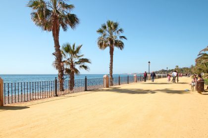 355ce923bdcc9bf48f42024642f4c47e - 10