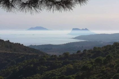 357aed645d24996a404f07e99764586c - 10