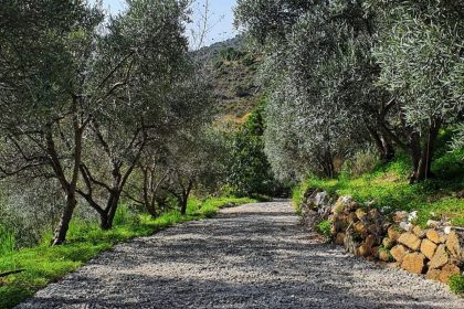 357aed645d24996a404f07e99764586c - 11