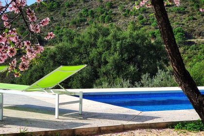 357aed645d24996a404f07e99764586c - 8