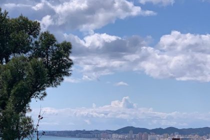 3727ec1a3b78b8195f74879d1c0f0bc4 - 1