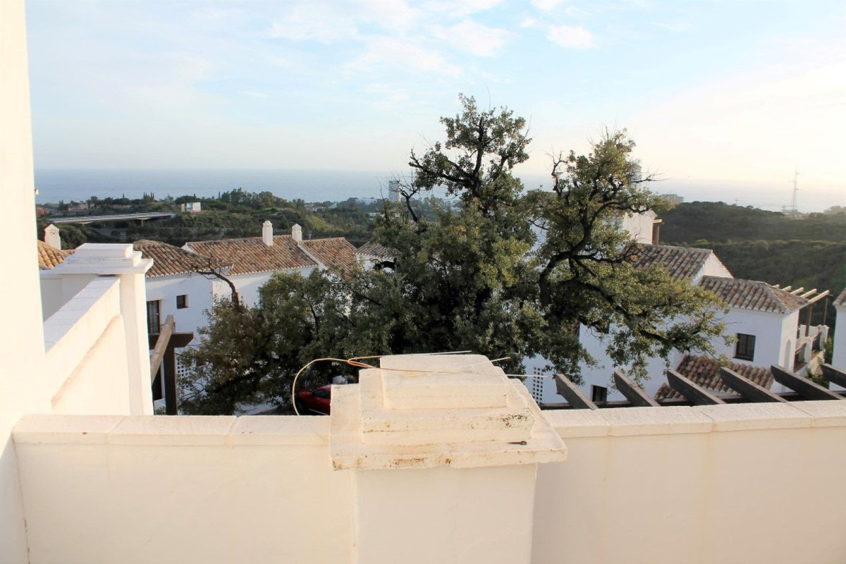 38303d48838bee2c1064d501f725ba2f - 20