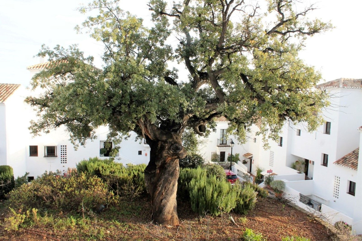 38303d48838bee2c1064d501f725ba2f - 8