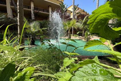 38925c108c4dda1b6ea24f0b8bb82d65 - 27