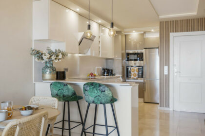 3a20353f0c3e30ca209d415ea021ff3a - 12