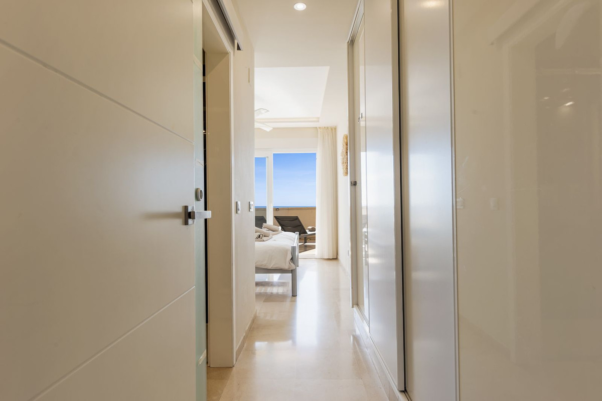 3a20353f0c3e30ca209d415ea021ff3a - 21