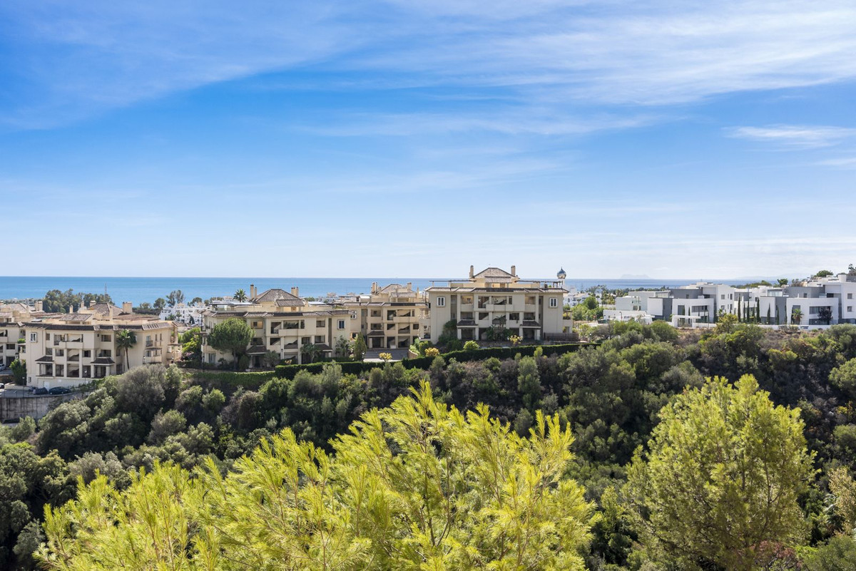 3a20353f0c3e30ca209d415ea021ff3a - 22