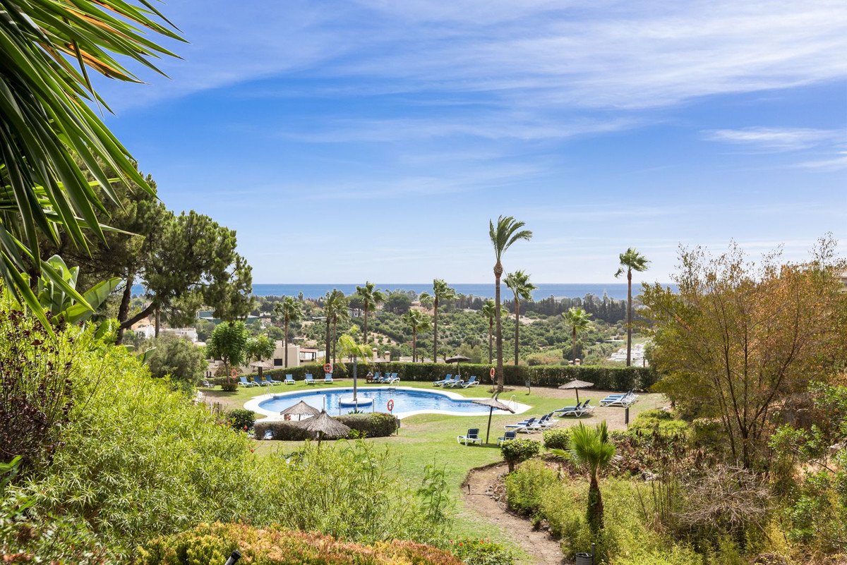 3a20353f0c3e30ca209d415ea021ff3a - 27