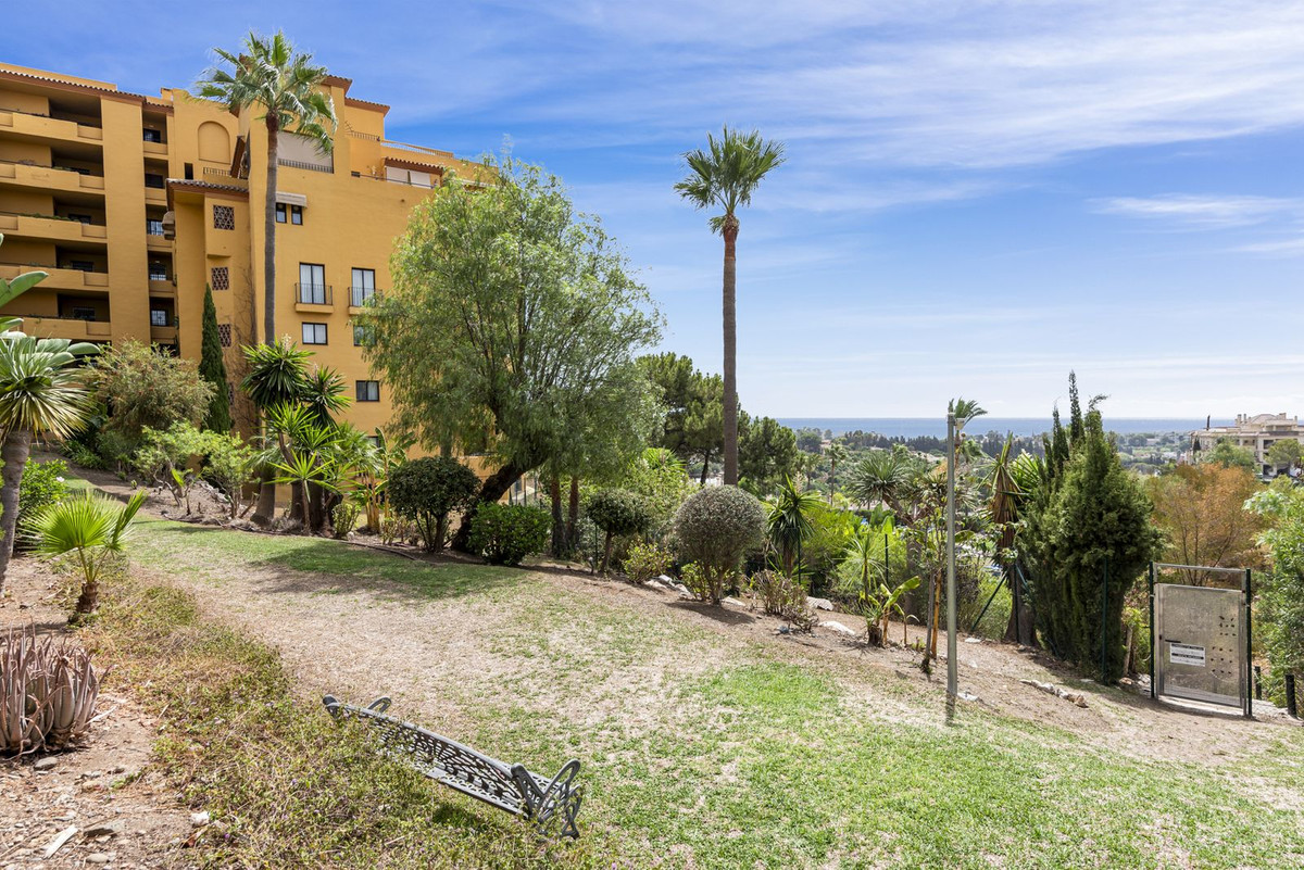 3a20353f0c3e30ca209d415ea021ff3a - 28