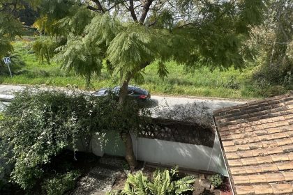 3a3d035e920afe117b9d311c6e894b32 - 17