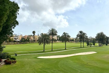 3a3d035e920afe117b9d311c6e894b32 - 2