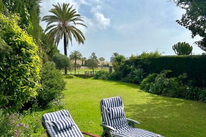 3a3d035e920afe117b9d311c6e894b32 - 3