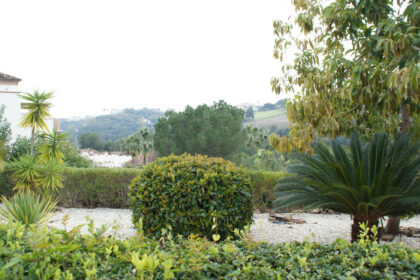 3bd56b18b064109ebcda15ef05789a0a - 20