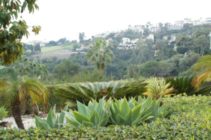 3bd56b18b064109ebcda15ef05789a0a - 21